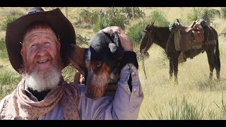Mules and LIon dogs  {Diary of a Houndsman}