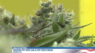 How marijuana affects teen brains