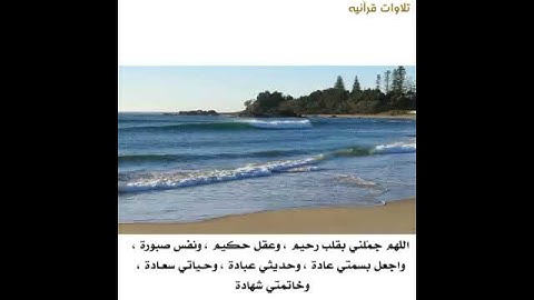 ارح سمعك وقلبك القارئ : أنس الشهاب