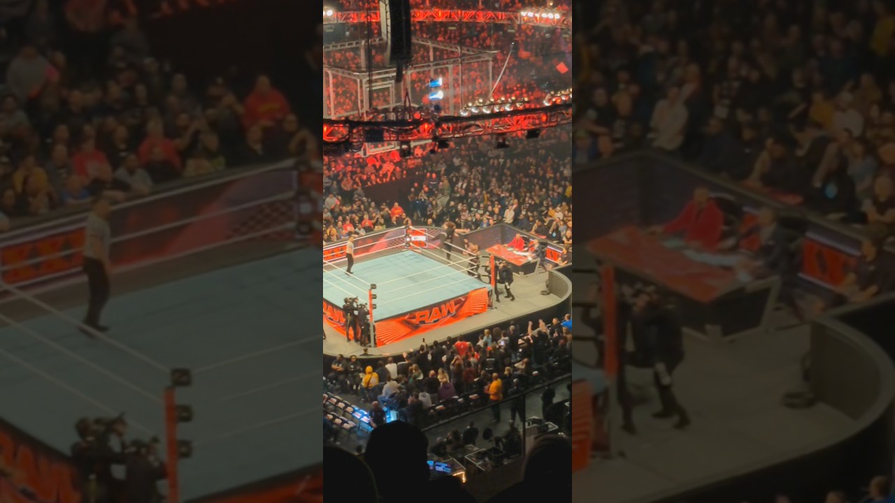 #samizayn dives out the ring! #raw 30th #anniversary #wwe #wrestling #bloodline #romanreigns #yeet