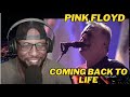 Pink floyd  coming back to life  live at pulse  reaction