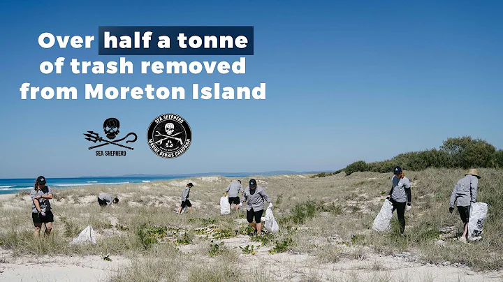 Over half a tonne of trash removed from Moreton Is...
