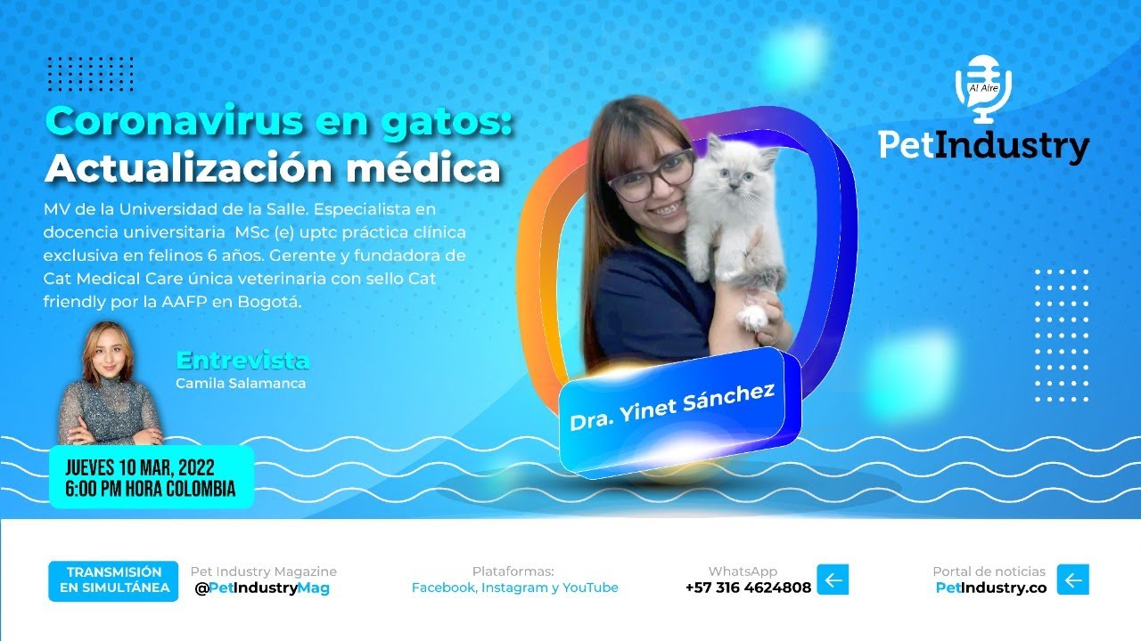 Coronavirus en gatos: Actualización médica