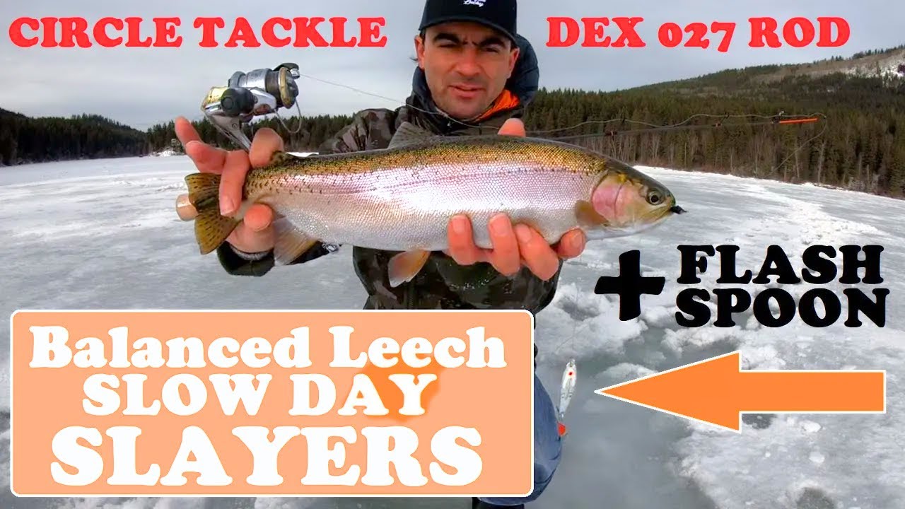 Anyone try leeches or worms icefishing? - Ice Fishing Forum - Ice
