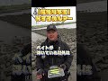 九州遠征に持っていくならコレ #fishing