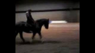 alfred och lina 4 januari