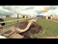 Строительство страусиной фермы