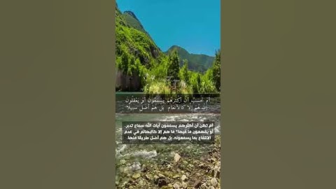 تلاوه خاشعه للقارئ ماجد الزامل