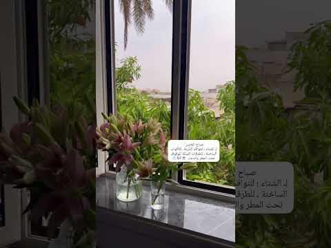 استوريات في بدايه كل يوم هو يوم مليء بالحب