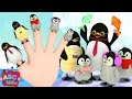 Finger Family (Penguin Version) | CoComelon Nursery Rhymes & Kids Songs