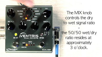 Ventris Dual Reverb: Room Reverb