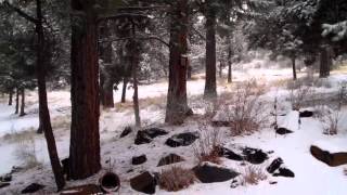 The Second Day of  Spring, March 21, 2012