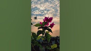 video of sunset and cloudy weather