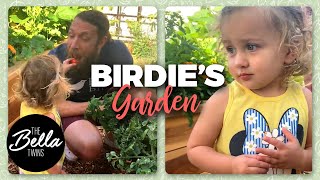 Birdie Helps Daddy In The Garden