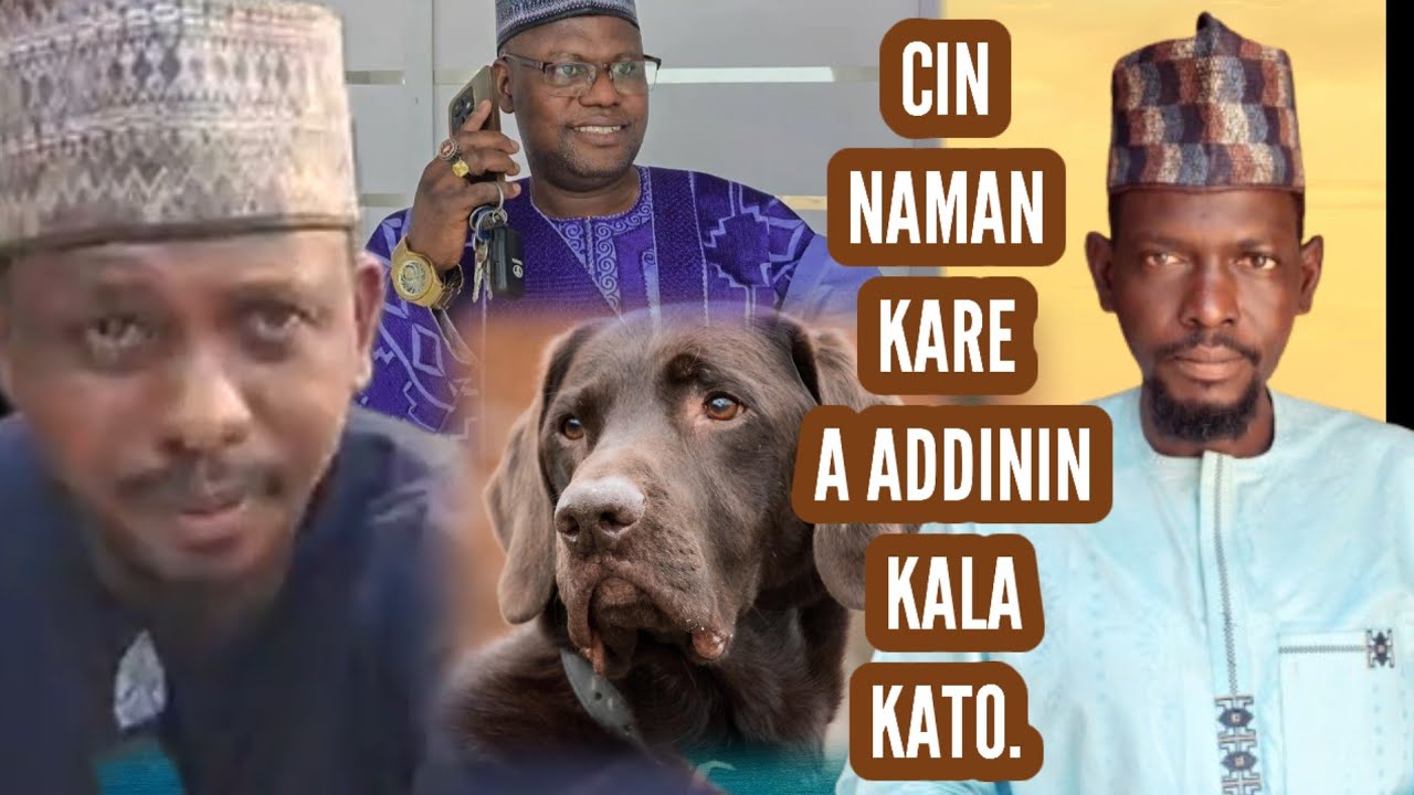 Muqabalar cin naman kare a addinin yan tatsine, martanin m. baffa hotoro ga  yan kala kato. 