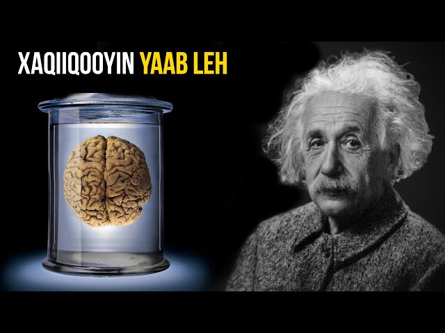 20 Xaqiiqo Oo Kaa Yaabin Doona Oo Ku Saabsan Albert Einstein | Wax Ka Barro class=