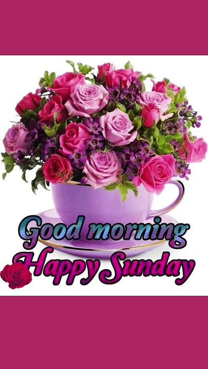 Happy Sunday Good Morning wishes 💐💐 Sunday special morning status#sundayvideo #naturesoultune#status