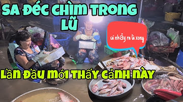 Bán cá trên sông, lần đầu thấy cảnh này