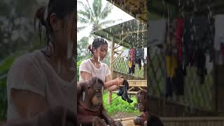 Girl Bathing A Monkey In The Rain Unbelievable Human-Animal Bond