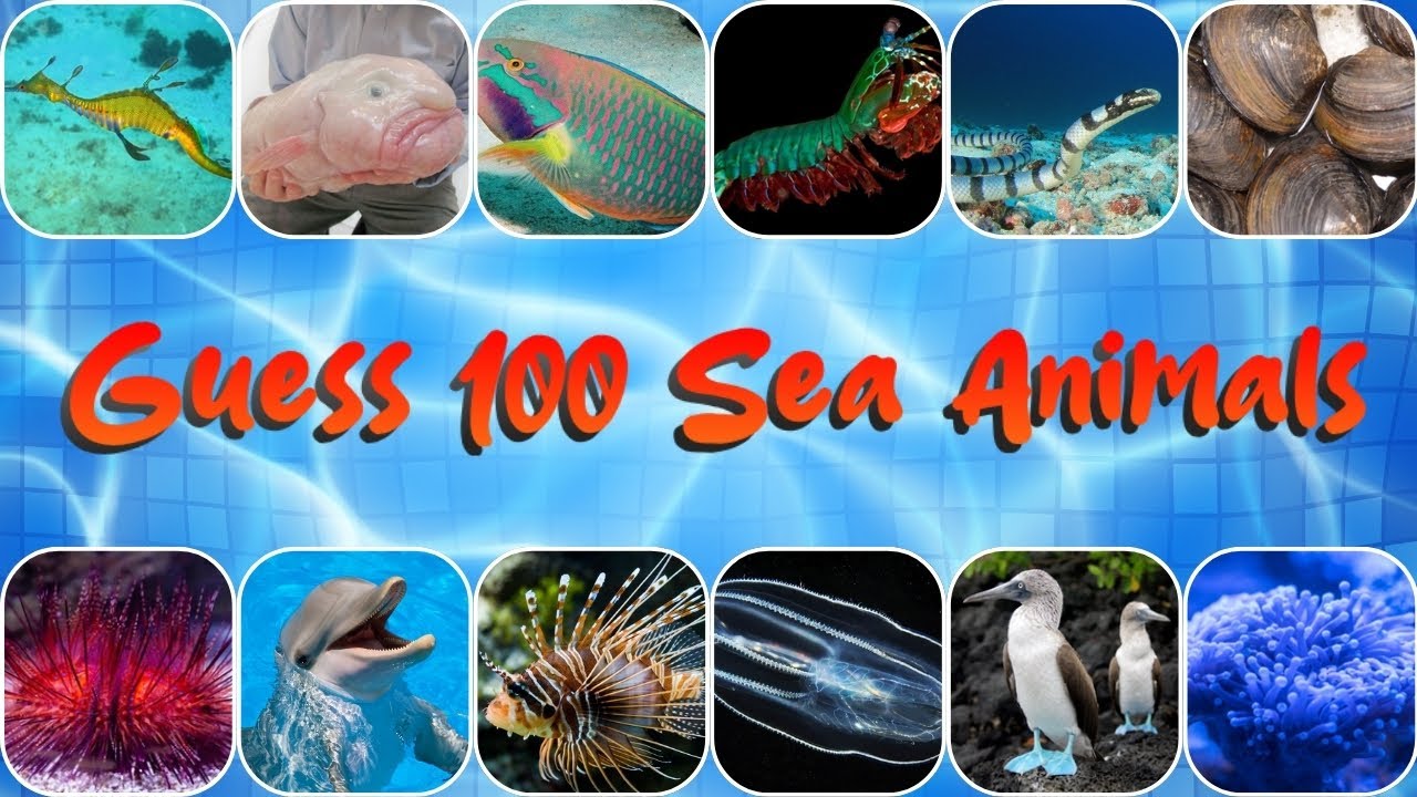 Guess 100 Animals Name in 3 Sec – Are You That Fast?