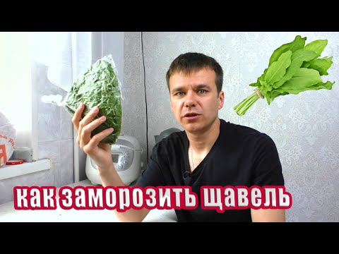 Как заморозить щавель на зиму