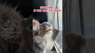 Its Peanut Er Jelly Time