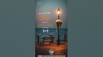 تلاوة ما تيسر من سورة النمل بصوت القارئ الشيخ :أبي محمد حسن الخولاني حفظه الله ورعاه
