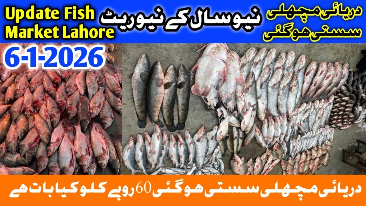 New update fish market lahore, Machli Mandi Lahore, Lahore fish market, Taza rate machli mandi, Fish