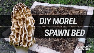 Making a Morel Spawn Kit Bed to Grow Morel Mushrooms at Home