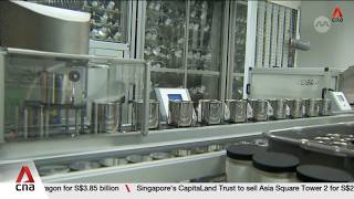 More energy-intensive firms in Singapore reducing power usage during peak periods