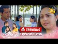 Sansarini - සංසාරිණී | Episode 236 | 2024-02-06 | Hiru TV image