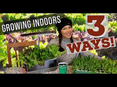 3 Ways To Grow Greens Indoors- Video Compares 3 Indoor Growing Methods!