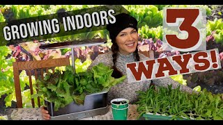 3 Ways to Grow Greens Indoors- Video compares 3 indoor growing methods!