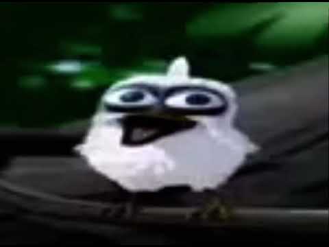Bird screaming meme