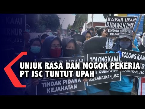 Video: Pinjaman Alfa-Bank: ulasan pelanggan, rekomendasi, ketentuan untuk memperoleh dan suku bunga