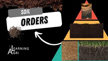 Soil Orders and the Hierarchy of Soil Taxonomy