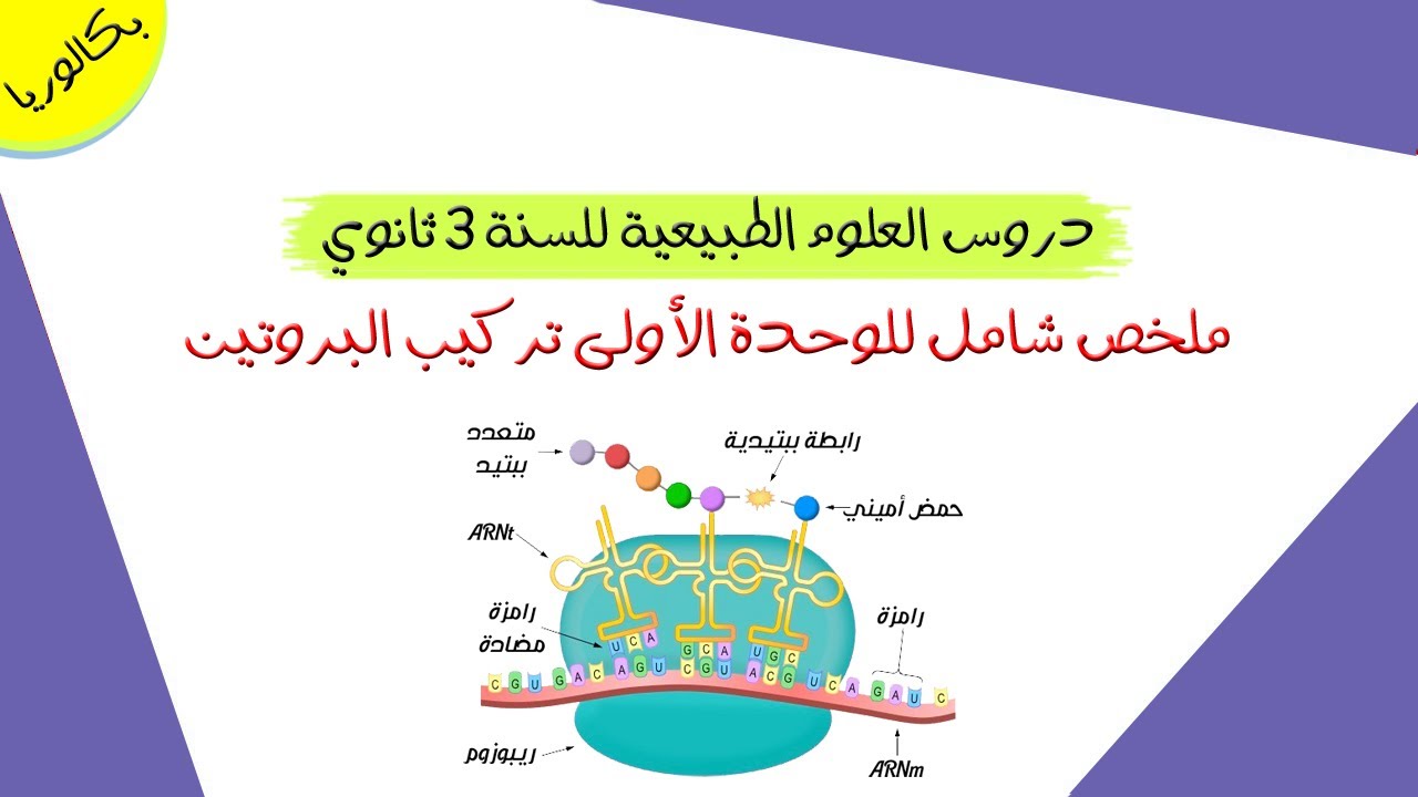 ملخص شامل للوحدة الأولى تركيب البروتين | بكالوريا علوم تجريبية
