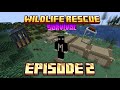 I Built a New Home for 10 Rescued Animals 🐾 Episode 2
