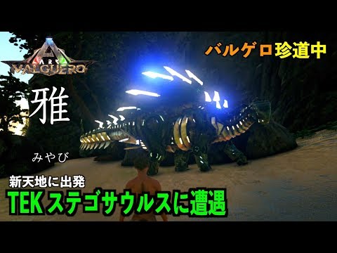 Arkバルゲロ Valguero １７激闘４８時間 スピノ変種テイム Ps4ark Survival Evolved Youtube