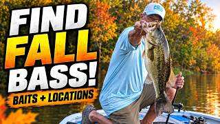 Fall Transition Bass: Where They Go and What to Throw
