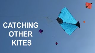 Kite Snatching | patang kaise lapete | पतंग लपेटना #patang #kite #makarsankranti