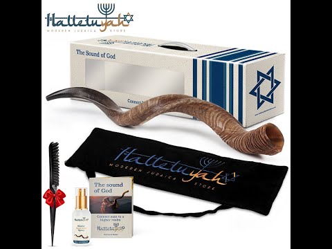 Natural Kudu Shofar From Israel By HalleluYAH Judaica Store