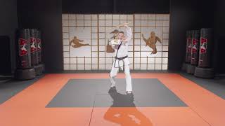 Black Belt Single Bahng Mahng Ee Form - Full | ATA Martial Arts