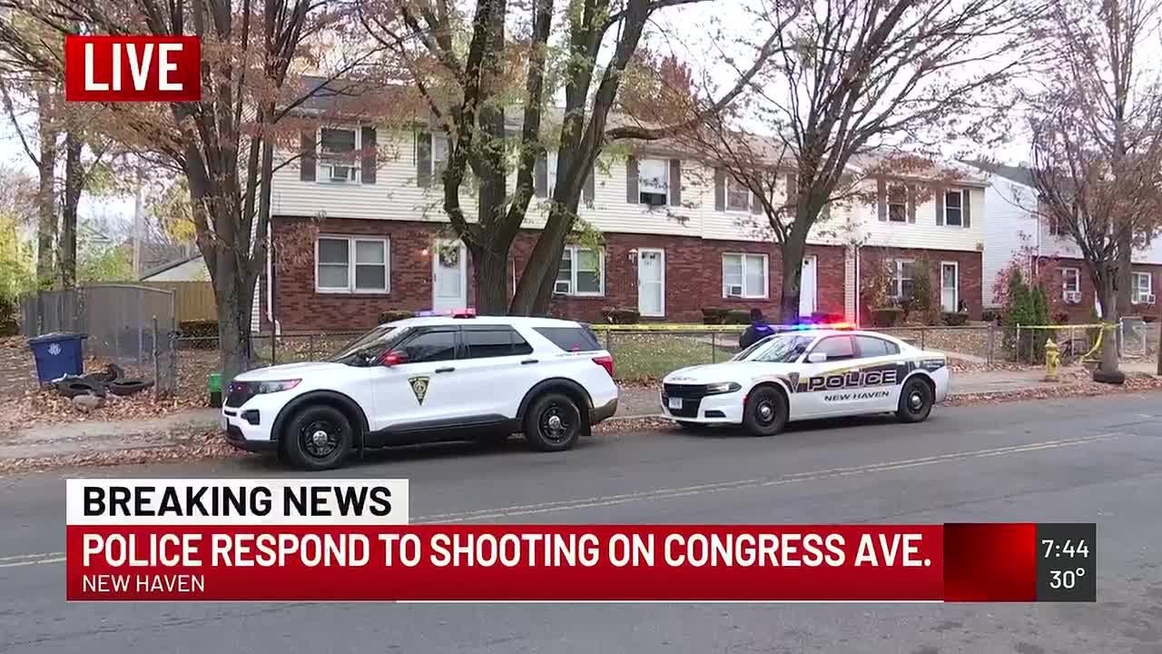UPDATE: Shooting investigation underway in New Haven - YouTube