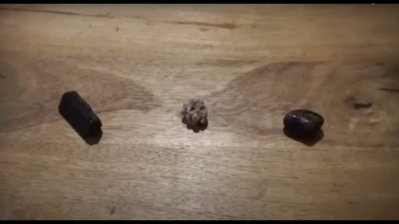 🪴PICK A CARD🪴Blunt Af💚 - Quick Read - Your Persons Feelings/Thoughts About You