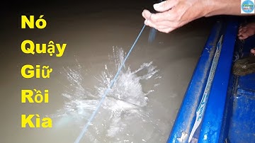 155 | Giăng câu cá trê bằng mồi  trùng | Fishing