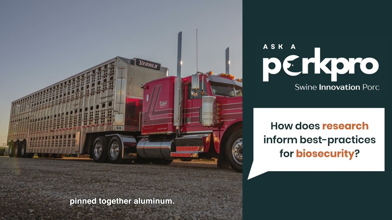 Ask a Pork Pro: How does research inform best-practices for biosecurity?