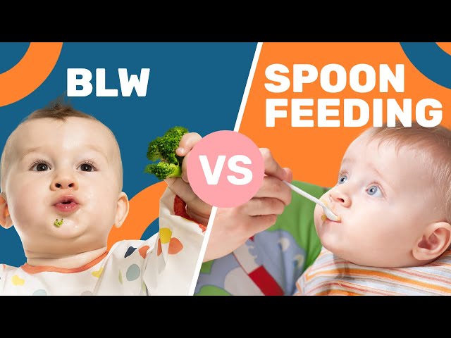 Spoon Feeding vs. Baby Led Weaning - Plant Based Juniors