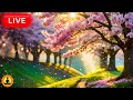 🔴 Relaxing Zen Music 24/7, Relaxing Music For Stress Relief And Sleep, Meditation Music, Study Music