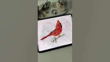 Drawing in Procreate - Digital Watercolor Winter Bird #shorts #procreate #drawing #watercolor #art